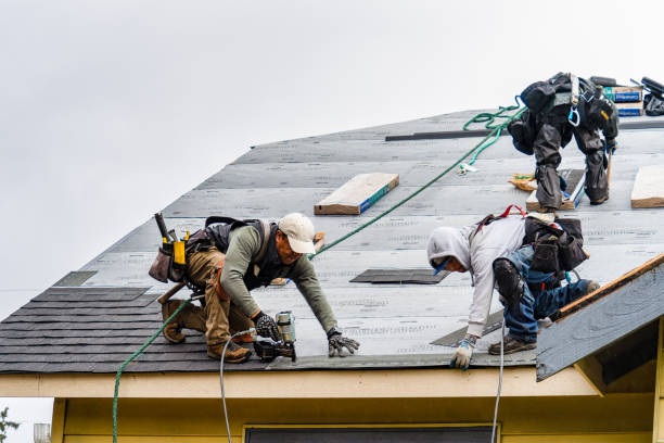 Professional Roofing technician working in Woolstock, IA